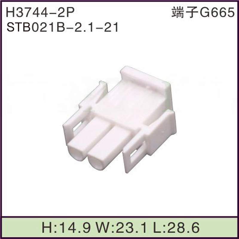 STB021B-2.1-21