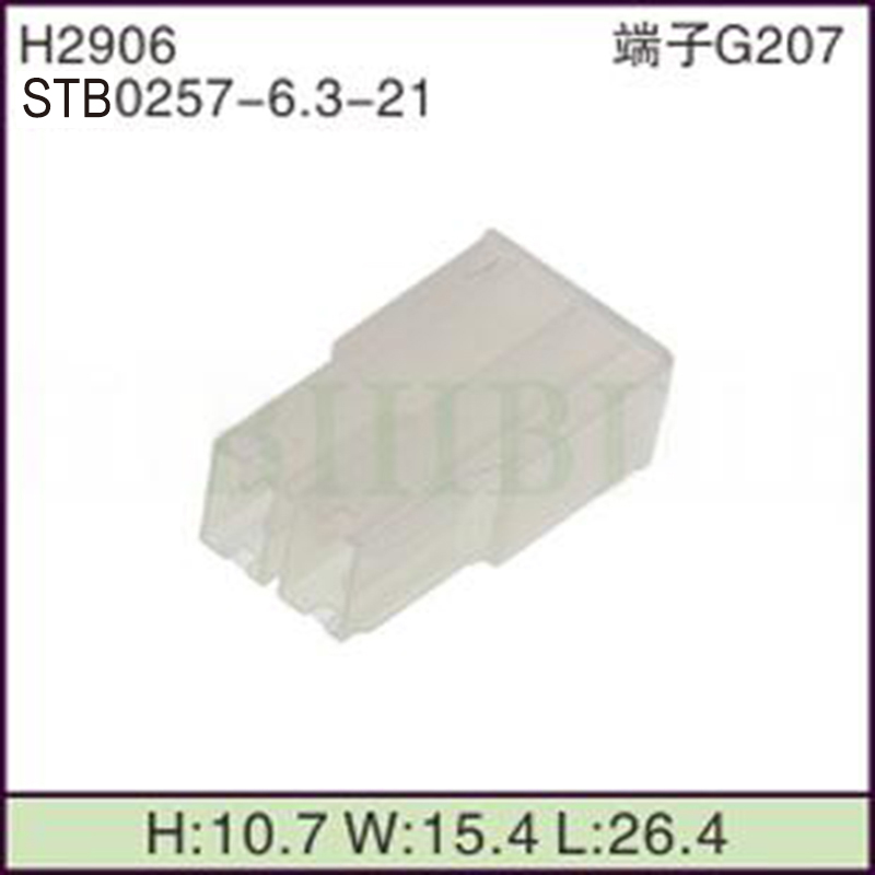 STB0257-6.3-21