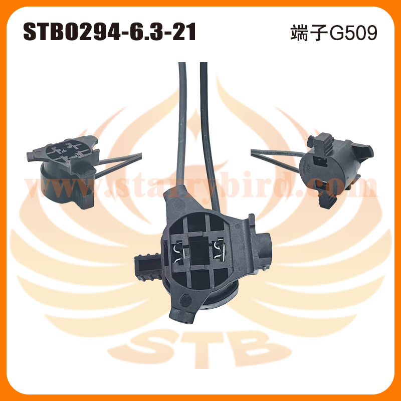STB0294-6.3-21