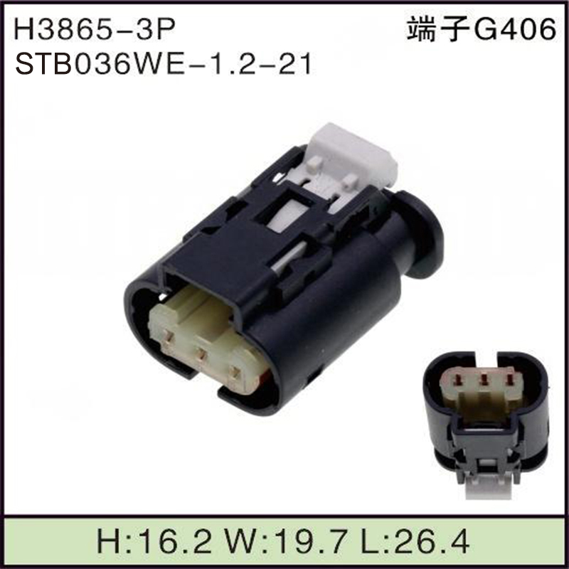 STB036WE-1.2-21