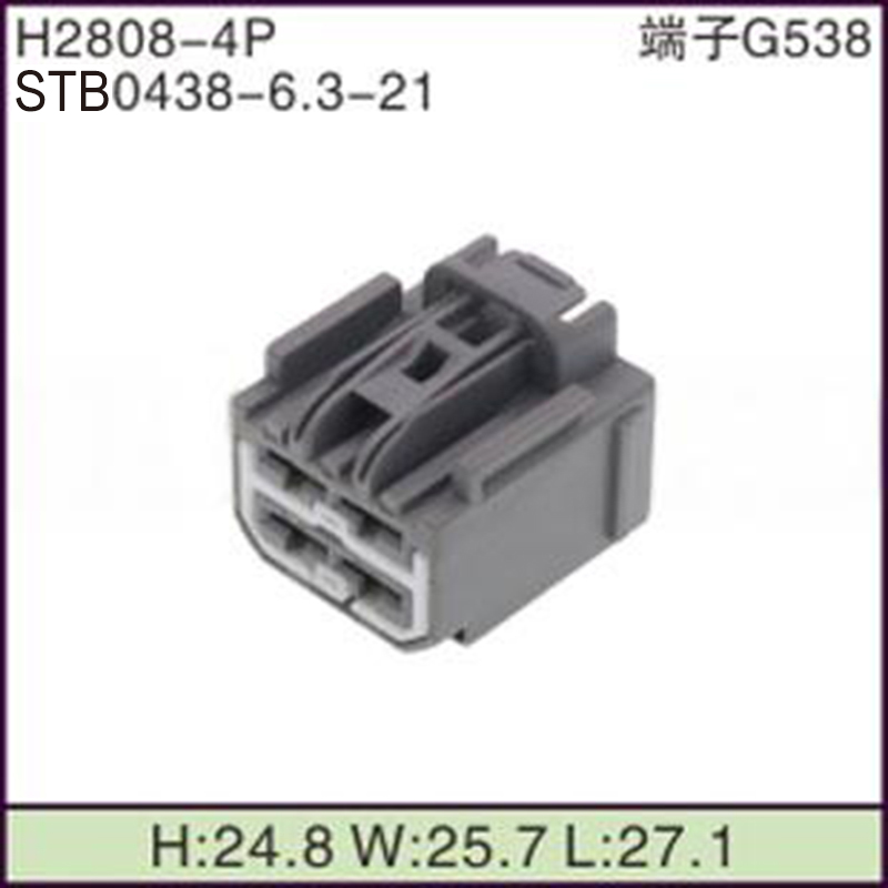 STB0438-6.3-21