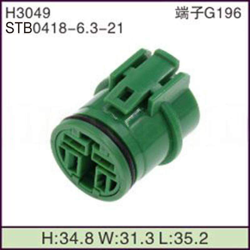 STB0418-6.3-21