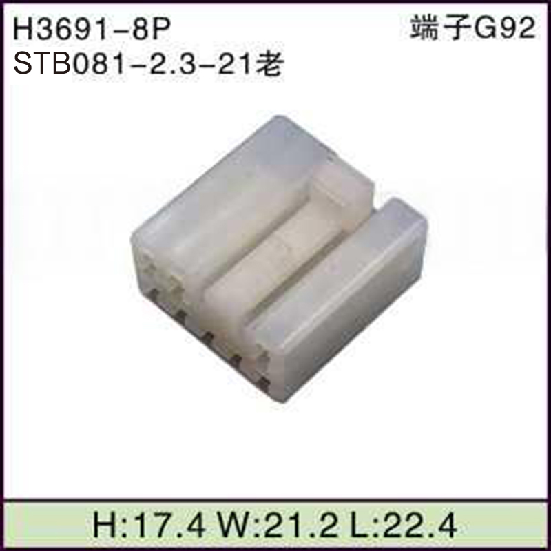 STB081-2.3-21老
