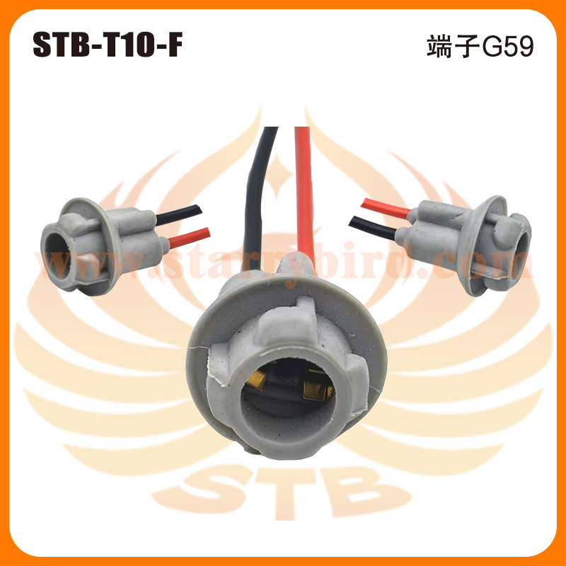 STB-T10-F