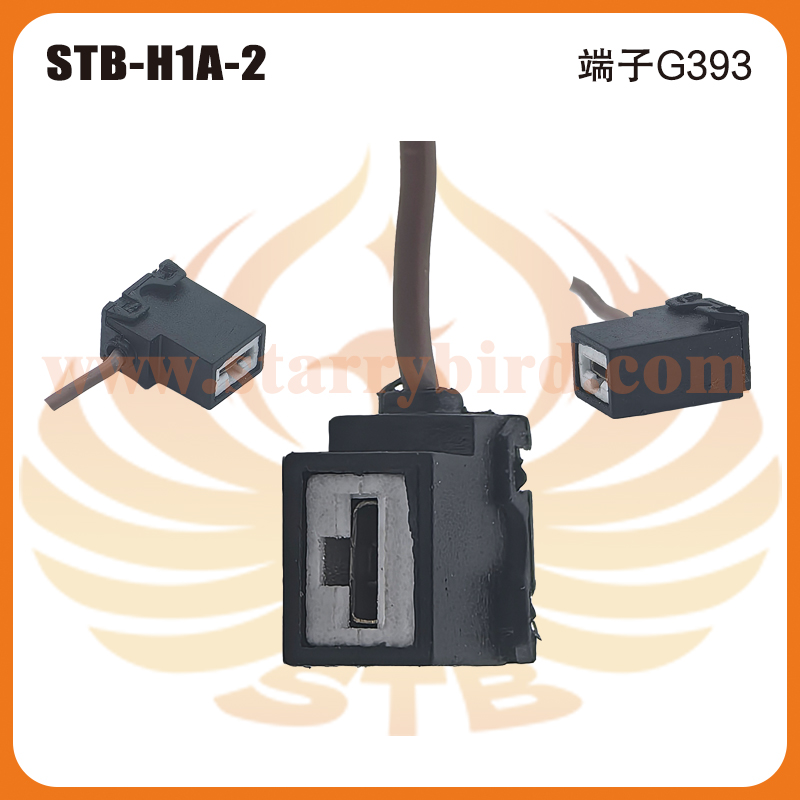 STB-H1A-2
