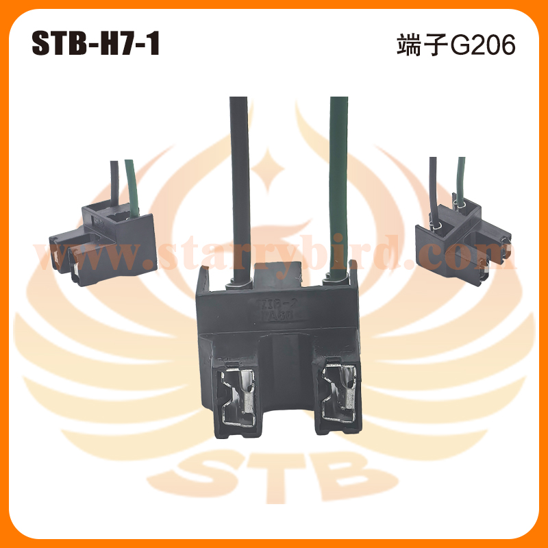 STB-H7-1