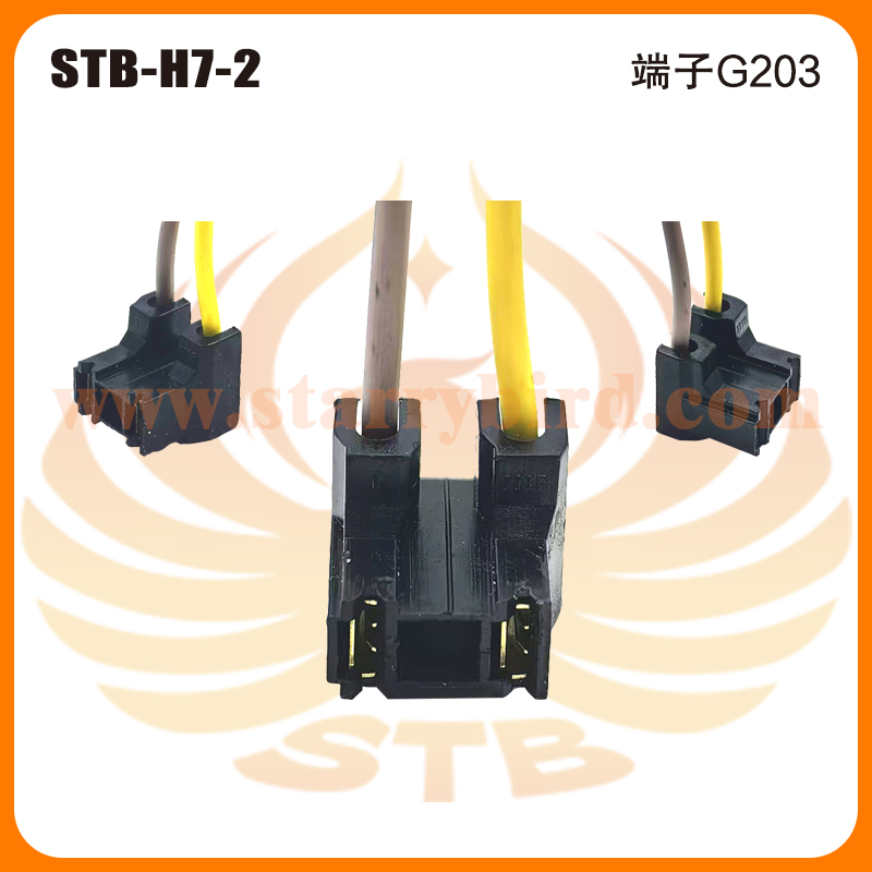 STB-H7-2