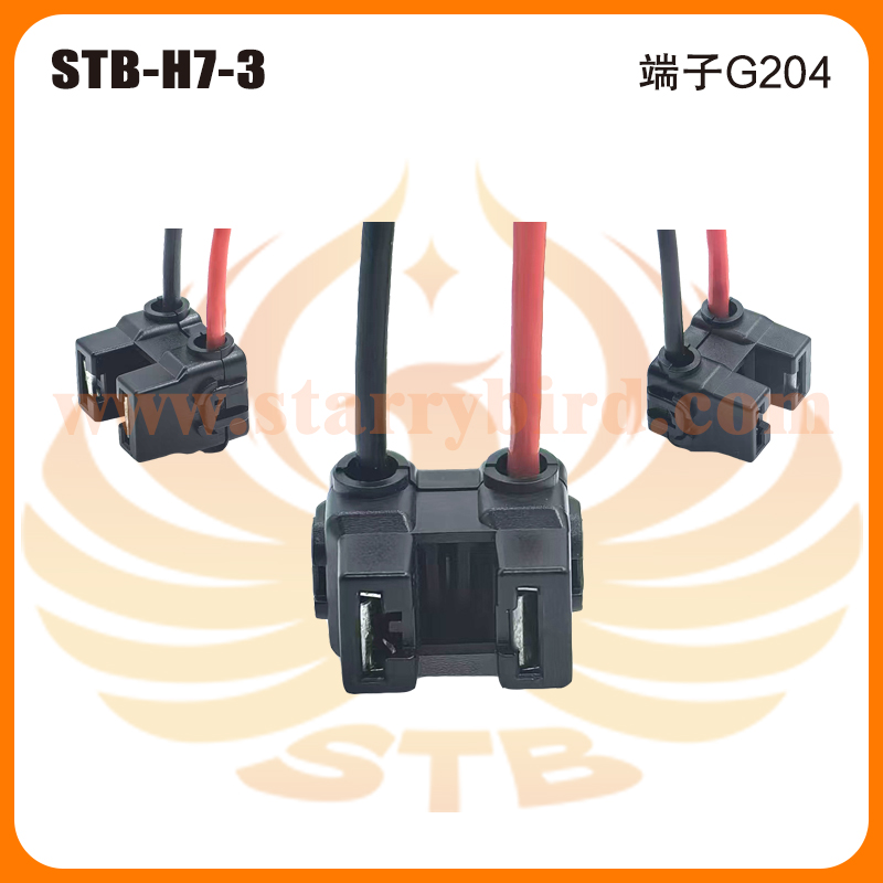 STB-H7-3