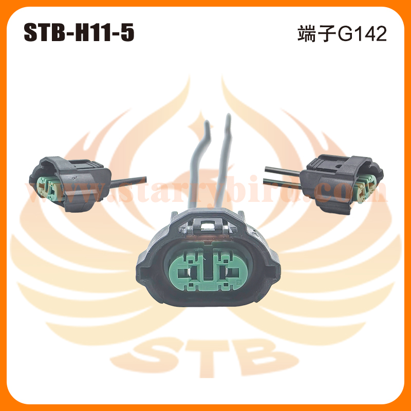 STB-H11-5