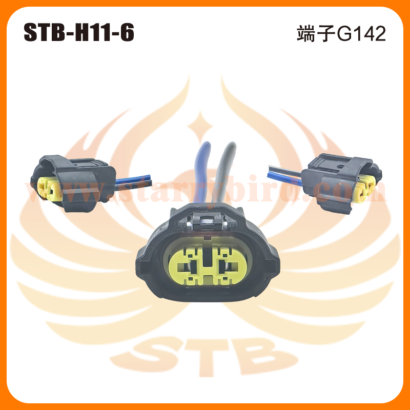 STB-H11-6
