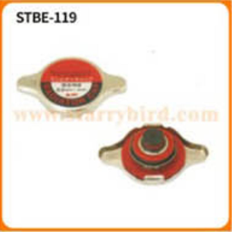 STBE-119