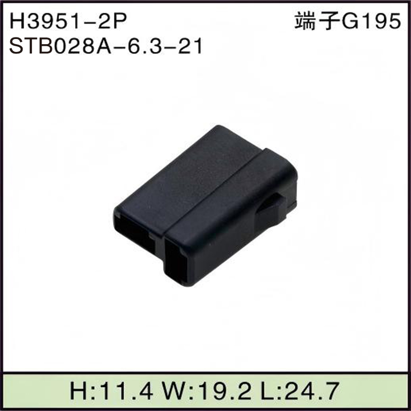 STB028A-6.3-21