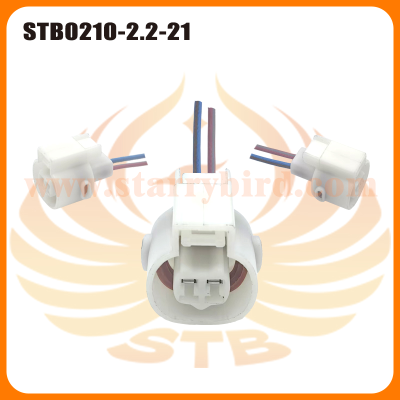 STB0210-2.2-21
