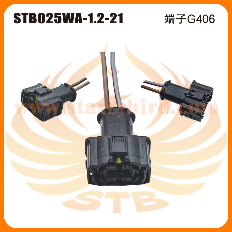 STB025WA-1.2-21