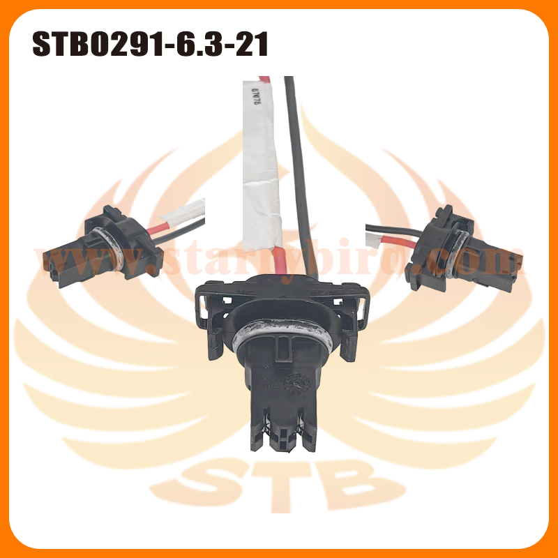 STB0291-6.3-21