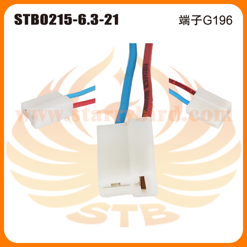 STB0215-6.3-21