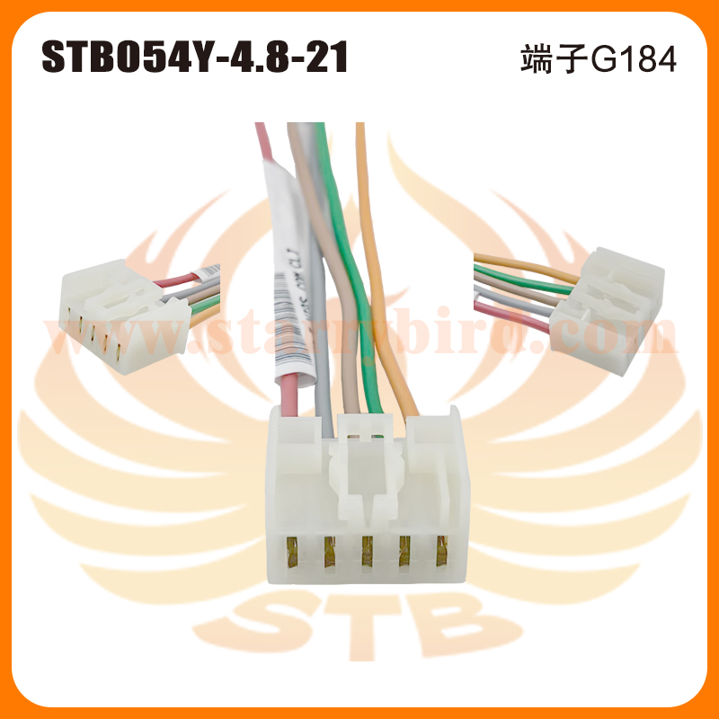 STB054Y-4.8-21